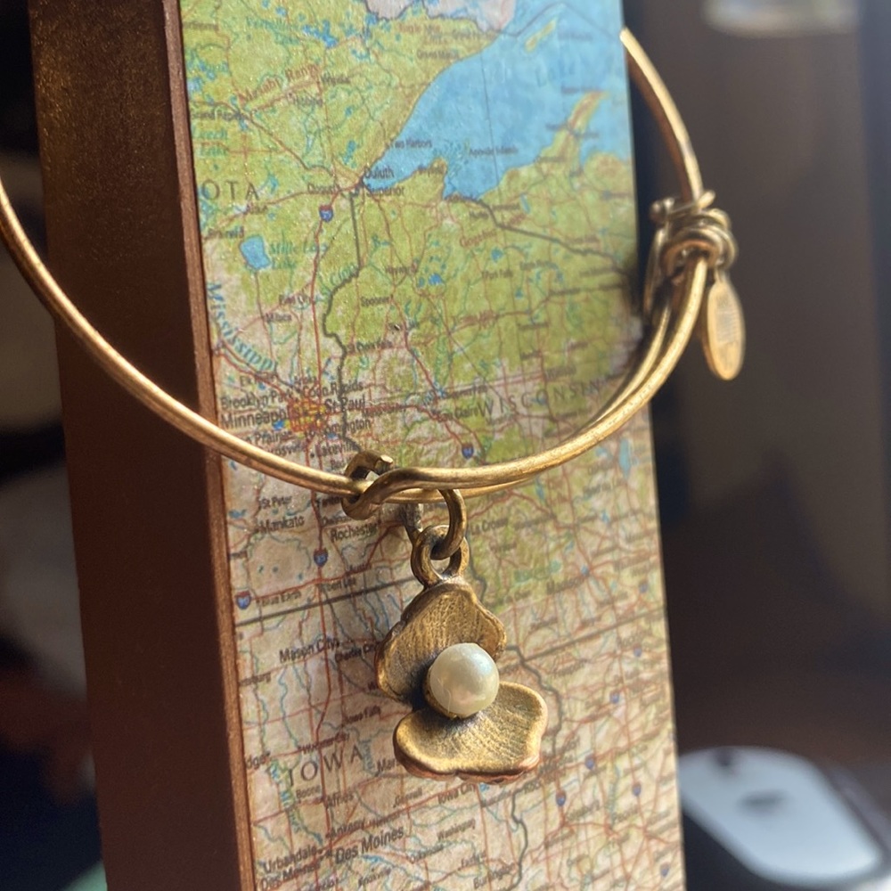 Alex and Ani Oyster Bangle (Gold) 2012